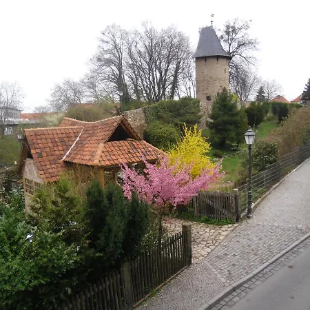 Daire Brockenblick *